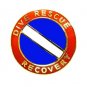 Dive Rescue Recovery Pin Collar Device Diving Team Gold Scuba Diver Flag 68G2