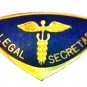 Legal Secretary Lapel Pin Professional Medical Emblem 5027 Gold Plate New