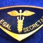 Legal Secretary Lapel Pin Professional Medical Emblem 5027 Gold Plate New