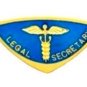 Legal Secretary Lapel Pin Professional Medical Emblem 5027 Gold Plate New