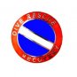 Dive Rescue Recovery Lapel Pin Collar Nickel Diving Team Scuba Diver Flag 68S1 M