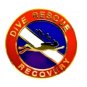 Dive Rescue Recovery Lapel Pin Scuba Diver Diving Team Gold  67G1 Metal Back New