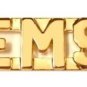 EMS Collar Pin Set  Emergency Medical Services Gold Cut Out Letters 2466 New