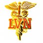 LVN Caduceus Pin Licensed Vocational Nurse Medical Graduation Recognition 804