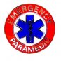 Emergency Paramedic Collar Pin Device Two Post Silver Red Blue Star of Life 64S2