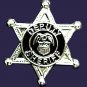 Deputy Sheriff Tie Tac 6 Point Star Eagle Crest Badge Tack Officer Nickel 3805