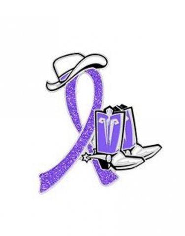 Cancer Awareness Lavender Glitter Ribbon Cowgirl Cowboy Western Boots Hat Pin