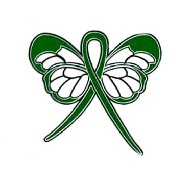 Manic Depression Awareness Month October Green Ribbon Butterfly Pin