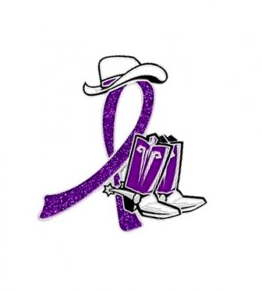 ADHD ADD Awareness Pin Purple Glitter Ribbon  Cowboy Western Boots Hat