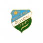 Registered Physical Therapist Lapel Pin Emblem 973 New