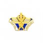 Dental Assistant Lapel Pin Medical Emblem Graduation 5043 New