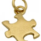 Autism Gold Charm
