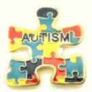 Autism Puzzle Pin