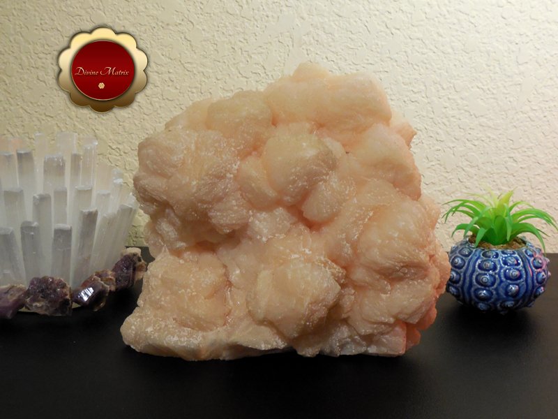 Large Peach Stilbite Cluster Psychic Awareness Heart Chakra 7 lb Slab