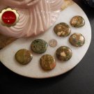 Large Rainforest Jasper Palm Stones Rhyolite Stone Energy Healing Heart Chakra