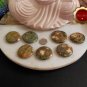 Large Rainforest Jasper Palm Stones Rhyolite Stone Energy Healing Heart Chakra