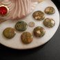 Large Rainforest Jasper Palm Stones Rhyolite Stone Energy Healing Heart Chakra