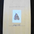Candy Jernigan Dead Bug Box