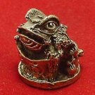 CHINESE MINI AMULET MAGIC FROG ON CHINA MONEY REAL LUCKY WEALTH CHARM HAPPY RICH