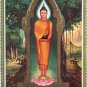 TINY WEDNESDAY BIRTHDAY BUDDHA THAI MINI AMULET LUCKY CHARM THAILAND NICE GIFT