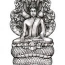 NAKPROK NAGA BUDDHA LEKLAI MAGIC IRON THAI AMULET PENDANT LUCKY RICH & SAFE LIFE NAKPROK NAGA BUDDHA LEKLAI MAGIC IRON THAI AMULET PENDANT LUCKY RICH & SAFE LIFE