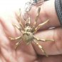 MAGIC SPIDER LOVE ATTRACTIVE SEX APPEAL AMULET BRASS PENDANT NECKLACE LUCKY GIFT
