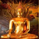 THAI AMULET LUCKY SUCCESS PENDANT LP TOH OF BANGPLEEYAINAI TEMPLE SACRED BUDDHA