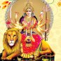 HINDU GODDESS AMULET PENDANT & GOLD PLATED NECKLACE DURGA UMA DEVI PARVATI KALI