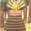 THAI SATURDAY MINI AMULET LUCKY NICE LIFE TINY NAKPROK NAGA SNAKE PROTECT BUDDHA