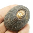 POWERFUL BEAKAE MAGIC SHELL LP BOON LUCKY RICH THAI MAGIC PENDANT GREAT SUCCESS