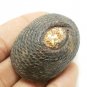 POWERFUL BEAKAE MAGIC SHELL LP BOON LUCKY RICH THAI MAGIC PENDANT GREAT SUCCESS