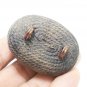 POWERFUL BEAKAE MAGIC SHELL LP BOON LUCKY RICH THAI MAGIC PENDANT GREAT SUCCESS