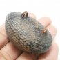 POWERFUL BEAKAE MAGIC SHELL LP BOON LUCKY RICH THAI MAGIC PENDANT GREAT SUCCESS