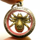 MAGIC SPIDER PENDANT LOVE ATTRACTIVE SEX APPEAL LOCKET AMULET THAI LUCKY CHARM