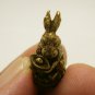TINY LUCKY RABBIT HOLD MONEY THAI MINI FIGURINE STATUE BLESS AMULET MAGIC BUNNY