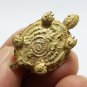 TURTLE THAI MINI AMULET PIDTA CLOSE EYE BUDDHA ARJARN PLIEN BLESSED LUCKY CHARM
