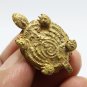 TURTLE THAI MINI AMULET PIDTA CLOSE EYE BUDDHA ARJARN PLIEN BLESSED LUCKY CHARM