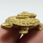 TURTLE THAI MINI AMULET PIDTA CLOSE EYE BUDDHA ARJARN PLIEN BLESSED LUCKY CHARM