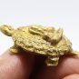 TURTLE THAI MINI AMULET PIDTA CLOSE EYE BUDDHA ARJARN PLIEN BLESSED LUCKY CHARM
