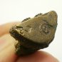 PHRA PIDTAWAN PENDANT THAI BLESS PIDTA BUDDHA MAGIC AMULET CLOSE EYES EARS ANUS