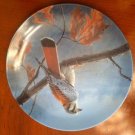 American Kestrel Raptor Bird of Prey Plate Knowles