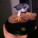 Peregrine Falcon Raptor Bird of Prey Statue Earth Home Endangered Species