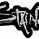 Staind Vinyl Sticker Chrome Letters Logo