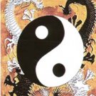 Yin Yang Dragons Vinyl Sticker