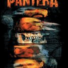 Pantera Vinyl Sticker Faces Collage Logo