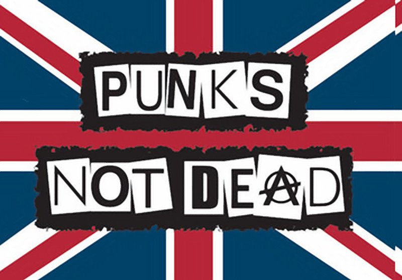 Картинка punks not dead