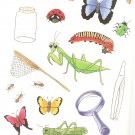 Got a bug collector? Net, Jar, Bugs, magnifying glass