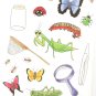 Got a bug collector? Net, Jar, Bugs, magnifying glass