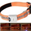 Pet Lost-prevention Alarm Collar with Blinking LED Light