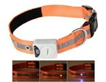 Pet Lost-prevention Alarm Collar with Blinking LED Light